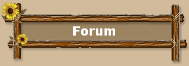 Forum